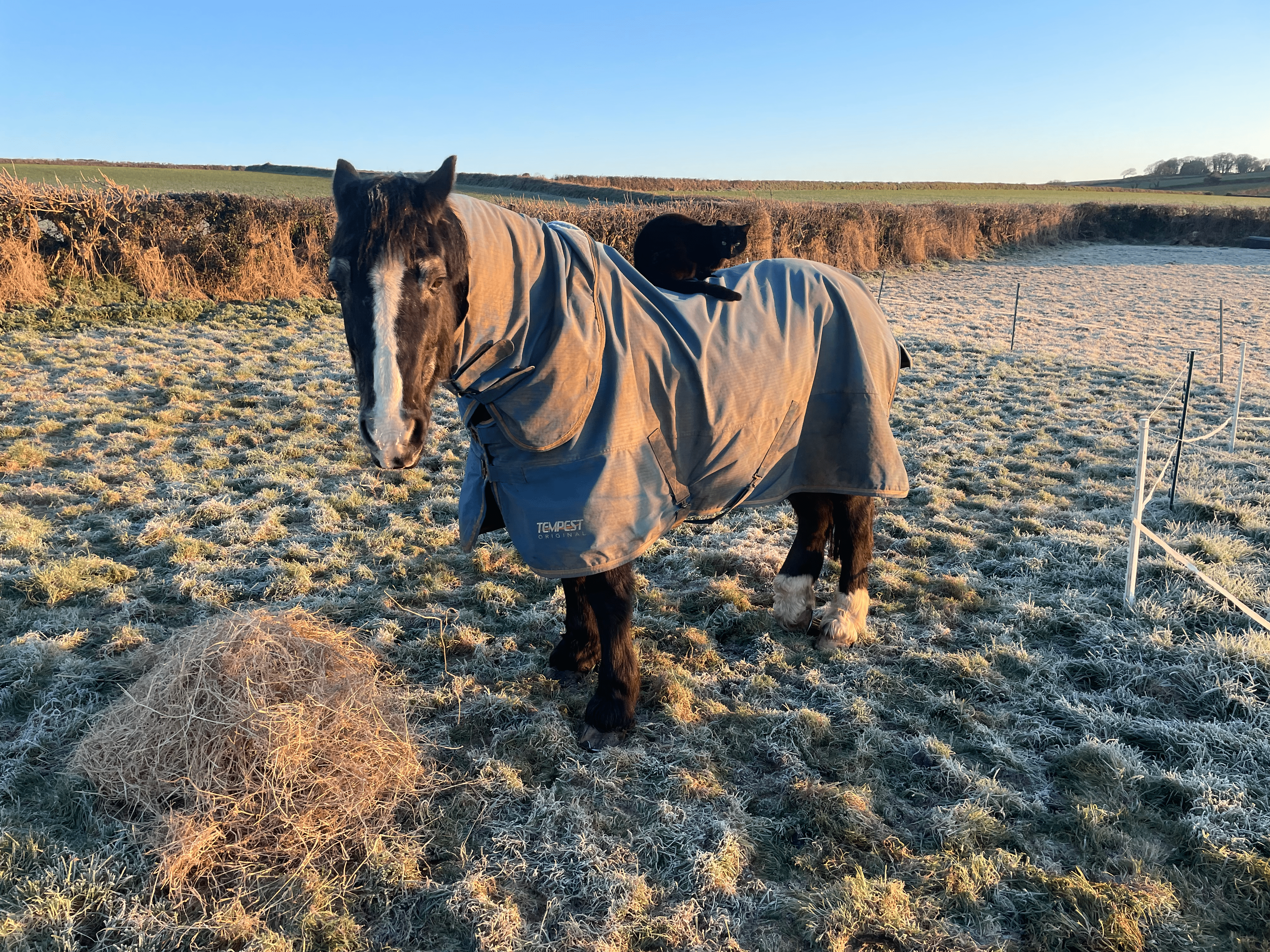 Luxury Farm Stay UK