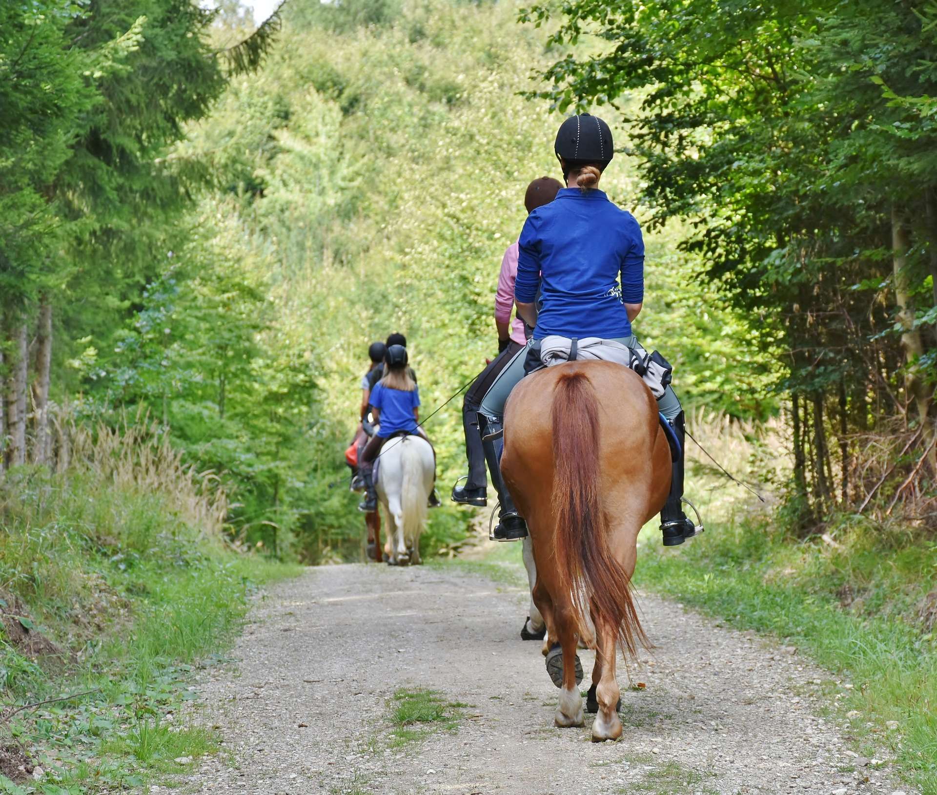Bring your own horse on holiday