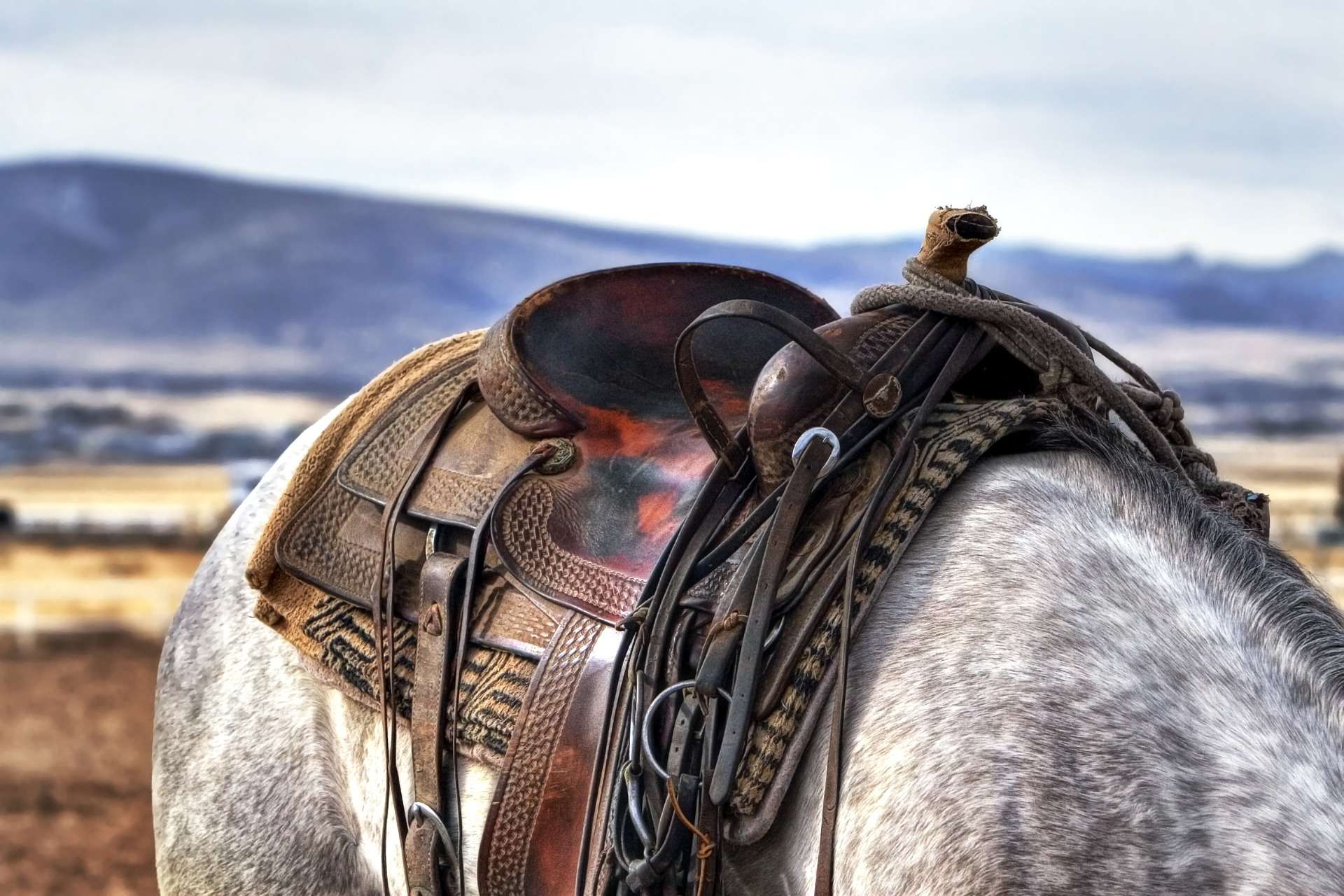 Lake District Horse Trekking Holidays