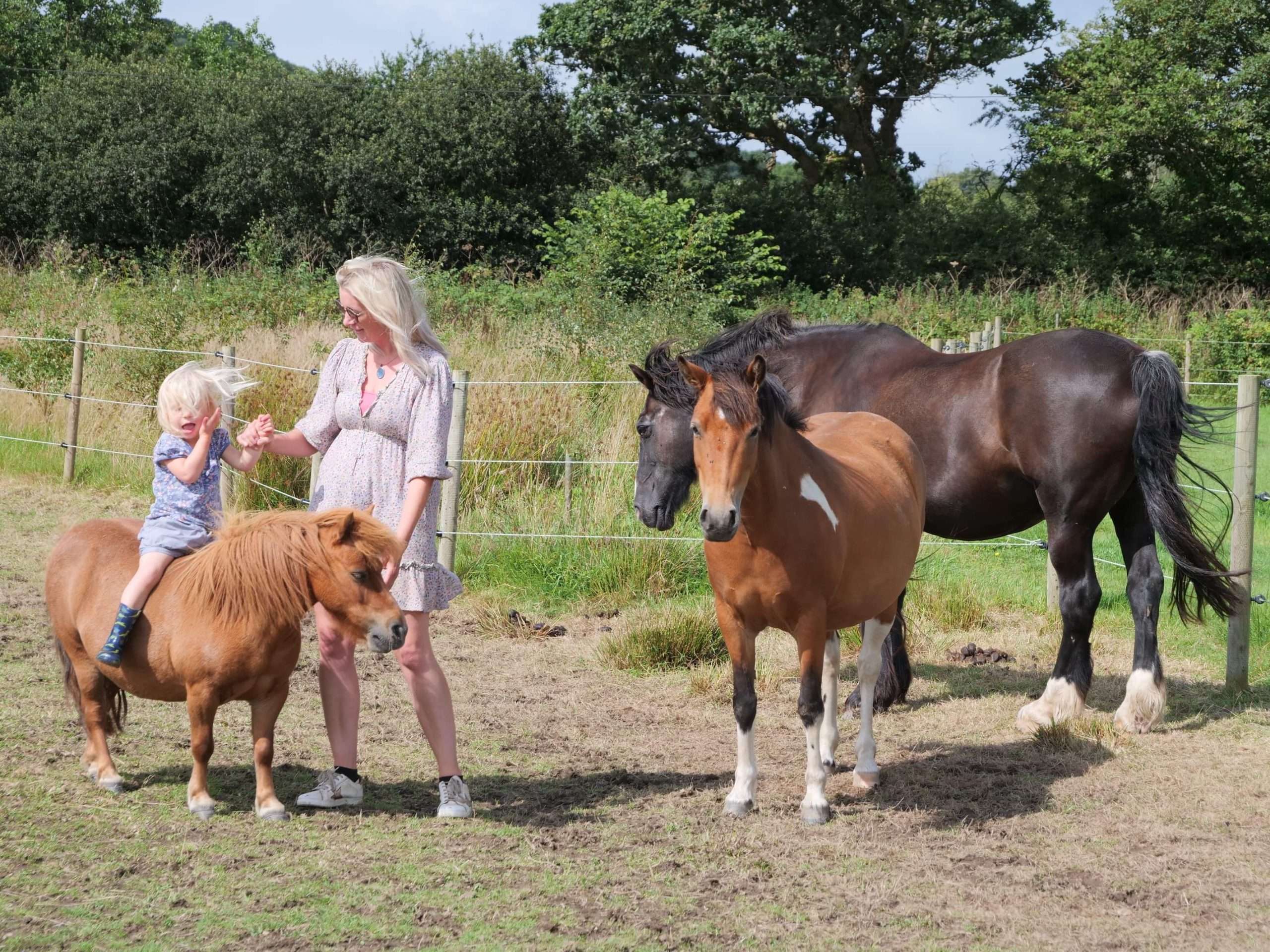 Animal Holidays - Curated Equestrian and Farm Adventures
