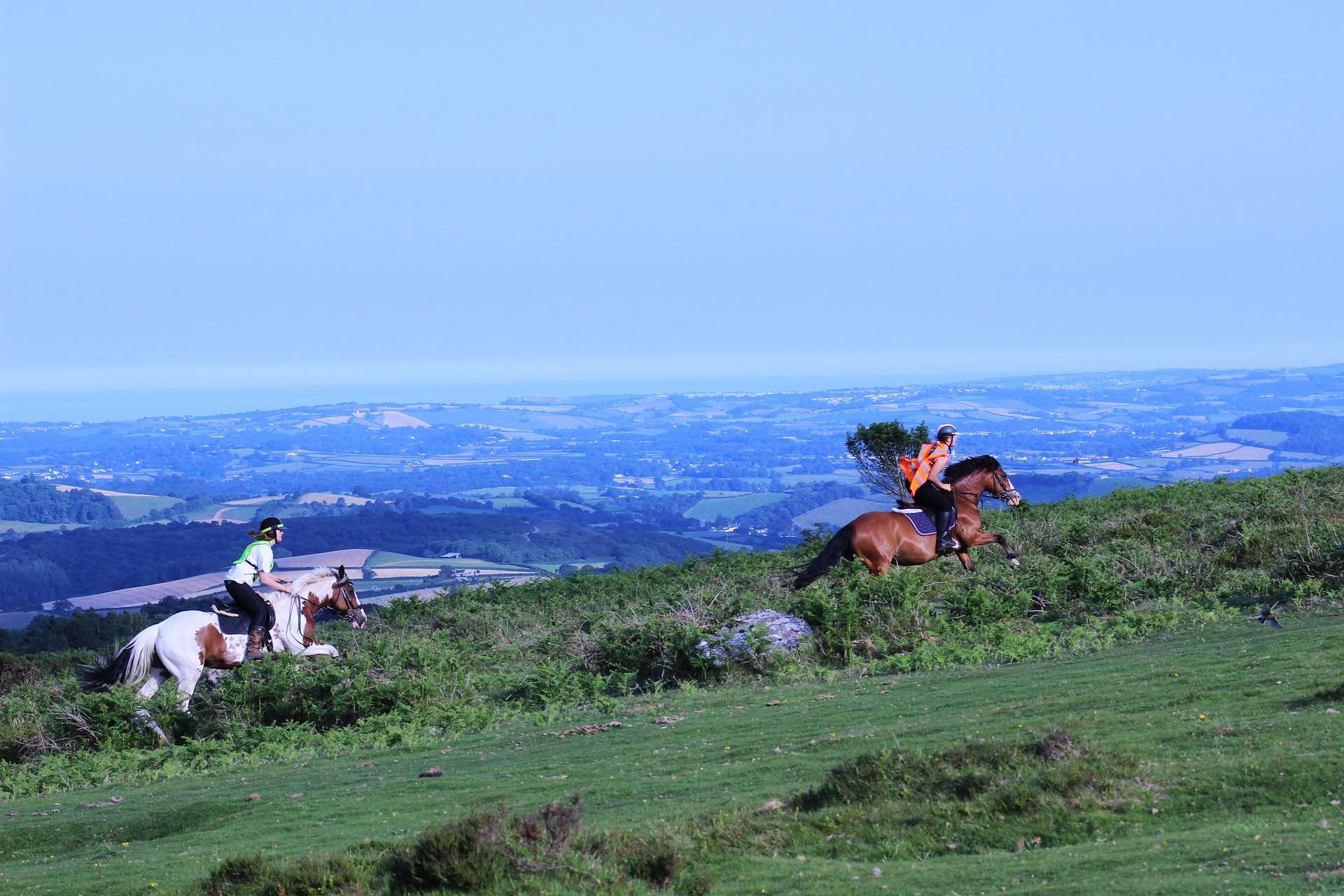 Equestrian Riding Experiences