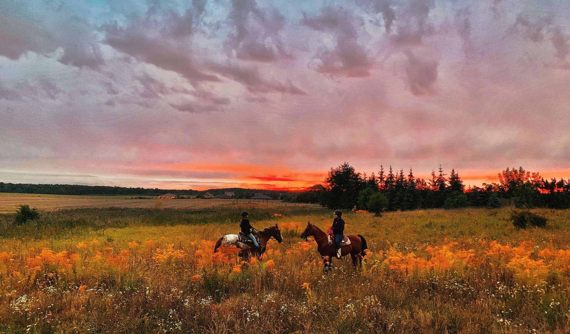Ranch based horse riding holidays in the USA