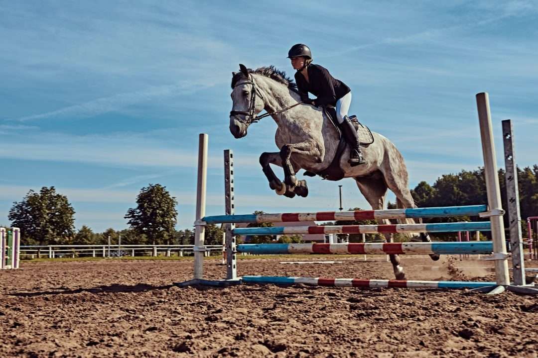 Boutique Horse Riding Holiday Experience
