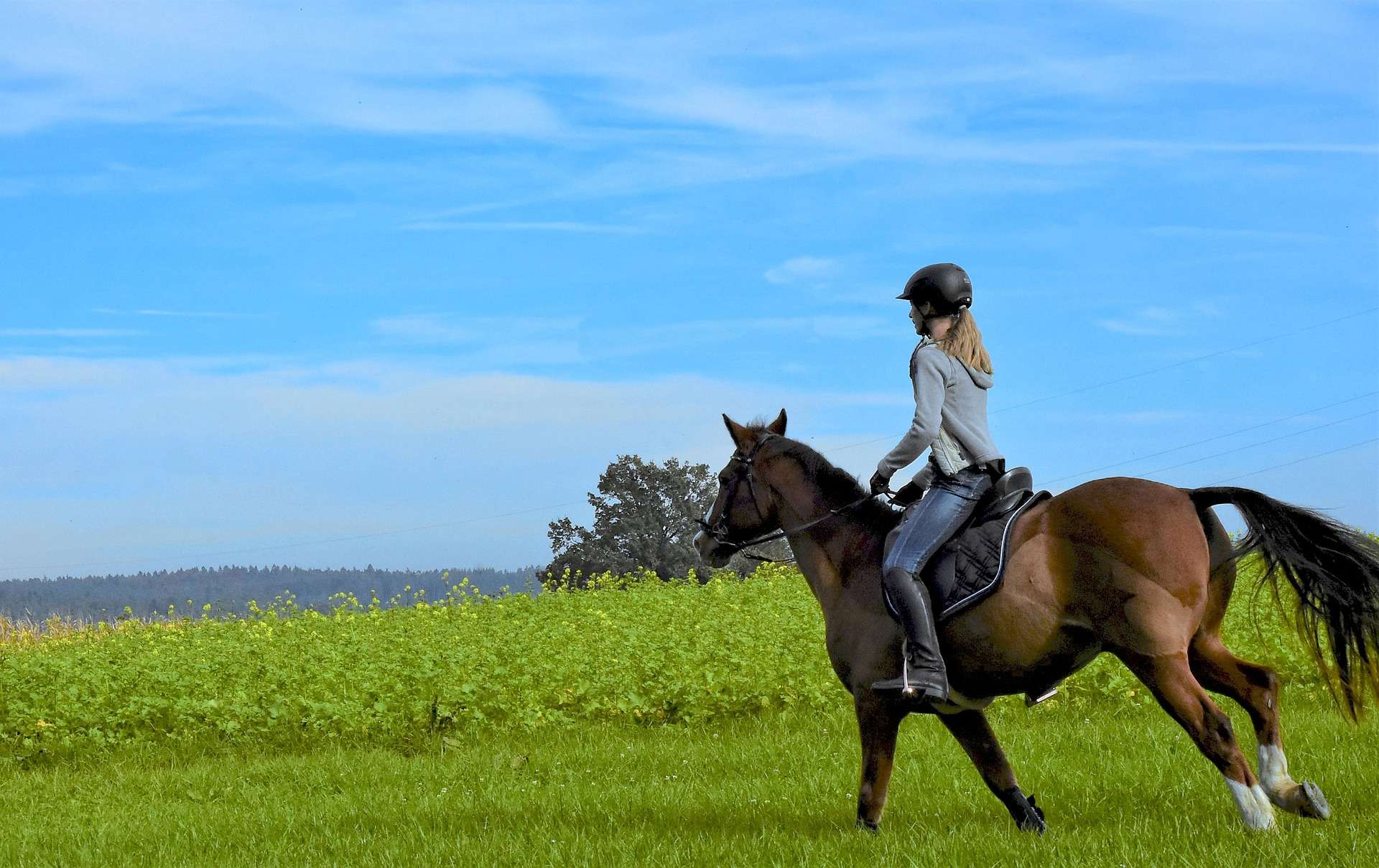 Bring your own horse on holiday experience