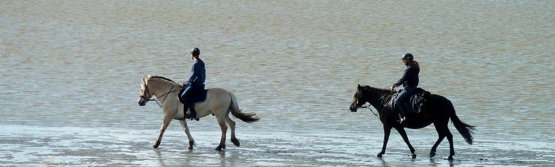 Cornwall Horse Riding holidays beach scene