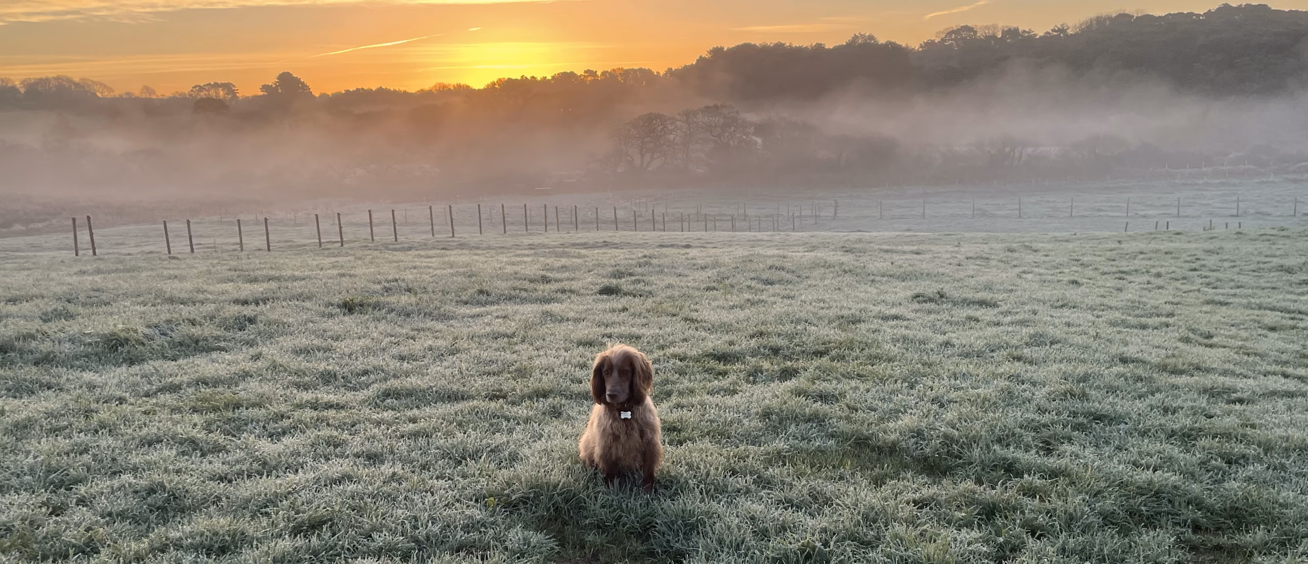 Luxury Dog Friendly Farm Stay UK 2026