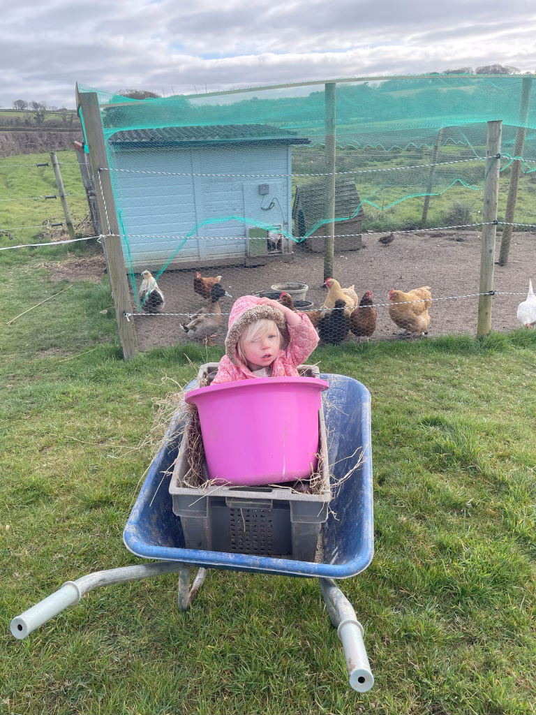 Farm holidays