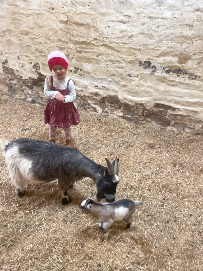 Children holidaying on a farm