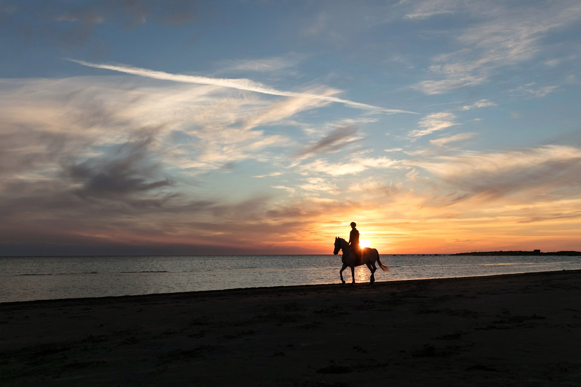 horseback riding lessons near me