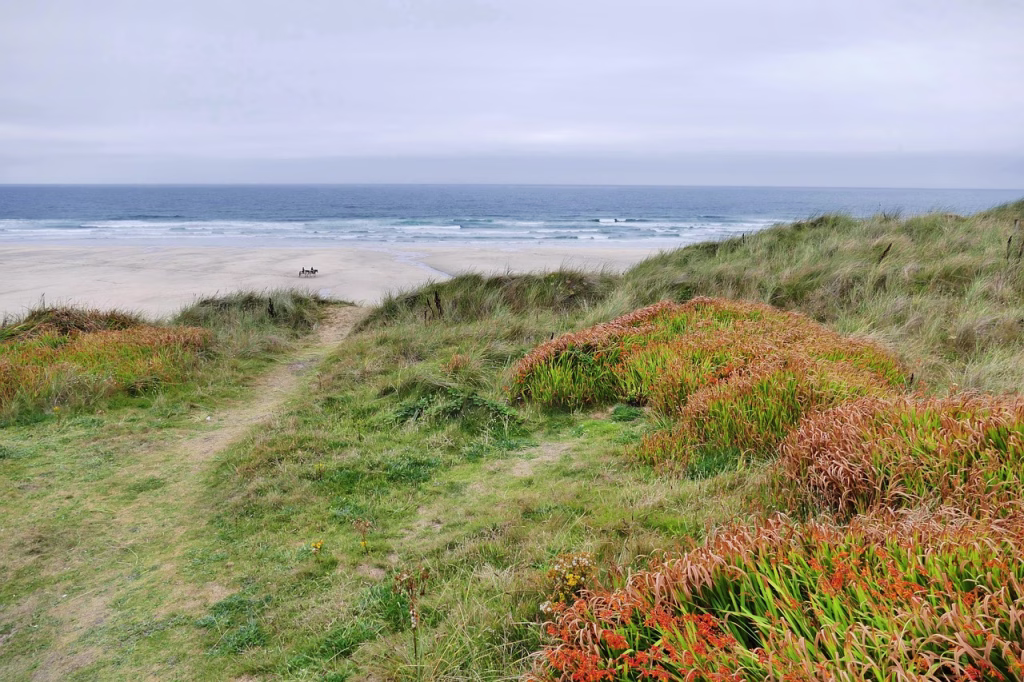 A sandy path through marram grass and orange-flowering dune plants, leading down to an empty stretch of Perranporth beach